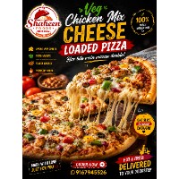 Shaheen foods special pizza